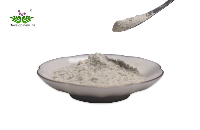 Saw palmetto Extract Powder